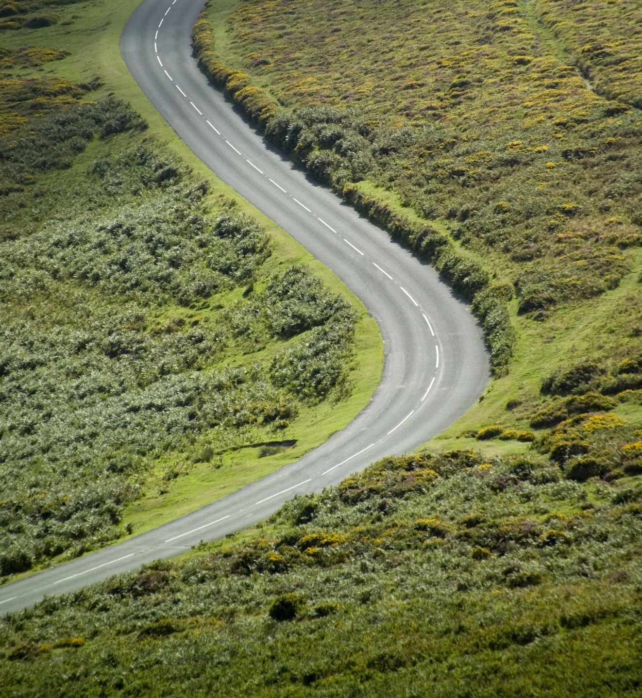 windy road